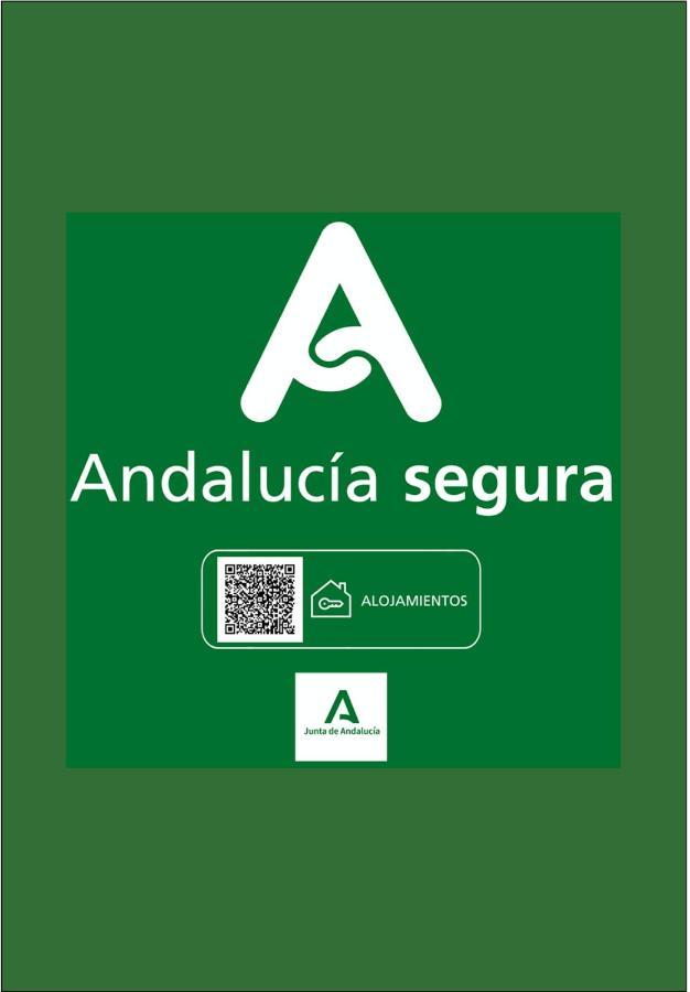 Holidays2malaga Biedmas Terraza En Casco Historico Appartement *